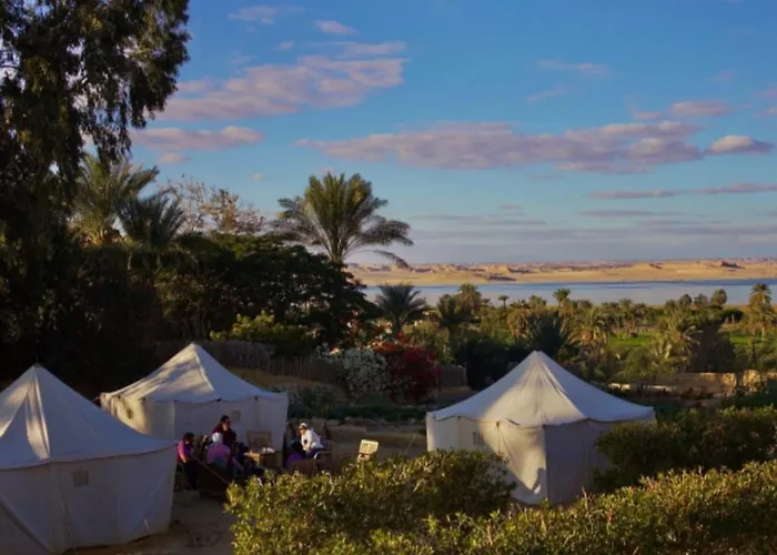 Tunis Camp Fayoum